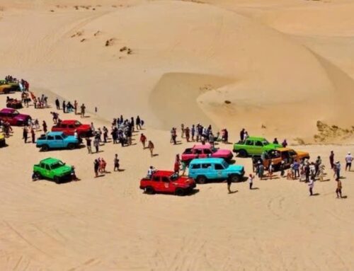 Du lịch Bàu Trắng tiểu sa mạc Sahara tại Bình Thuận
